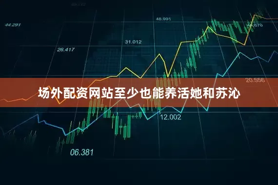 场外配资网站至少也能养活她和苏沁